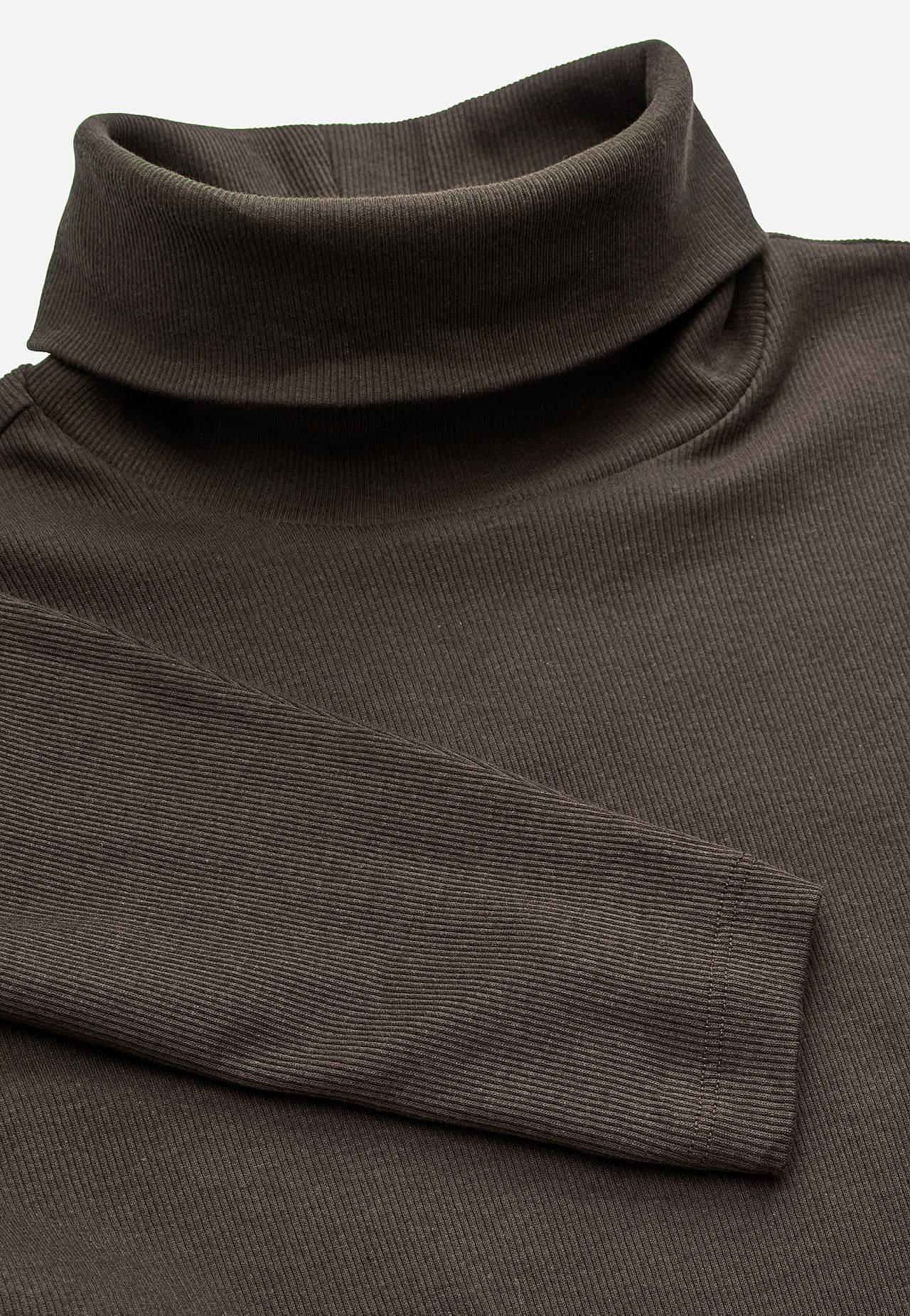 Ribbed roll-neck in organic cotton