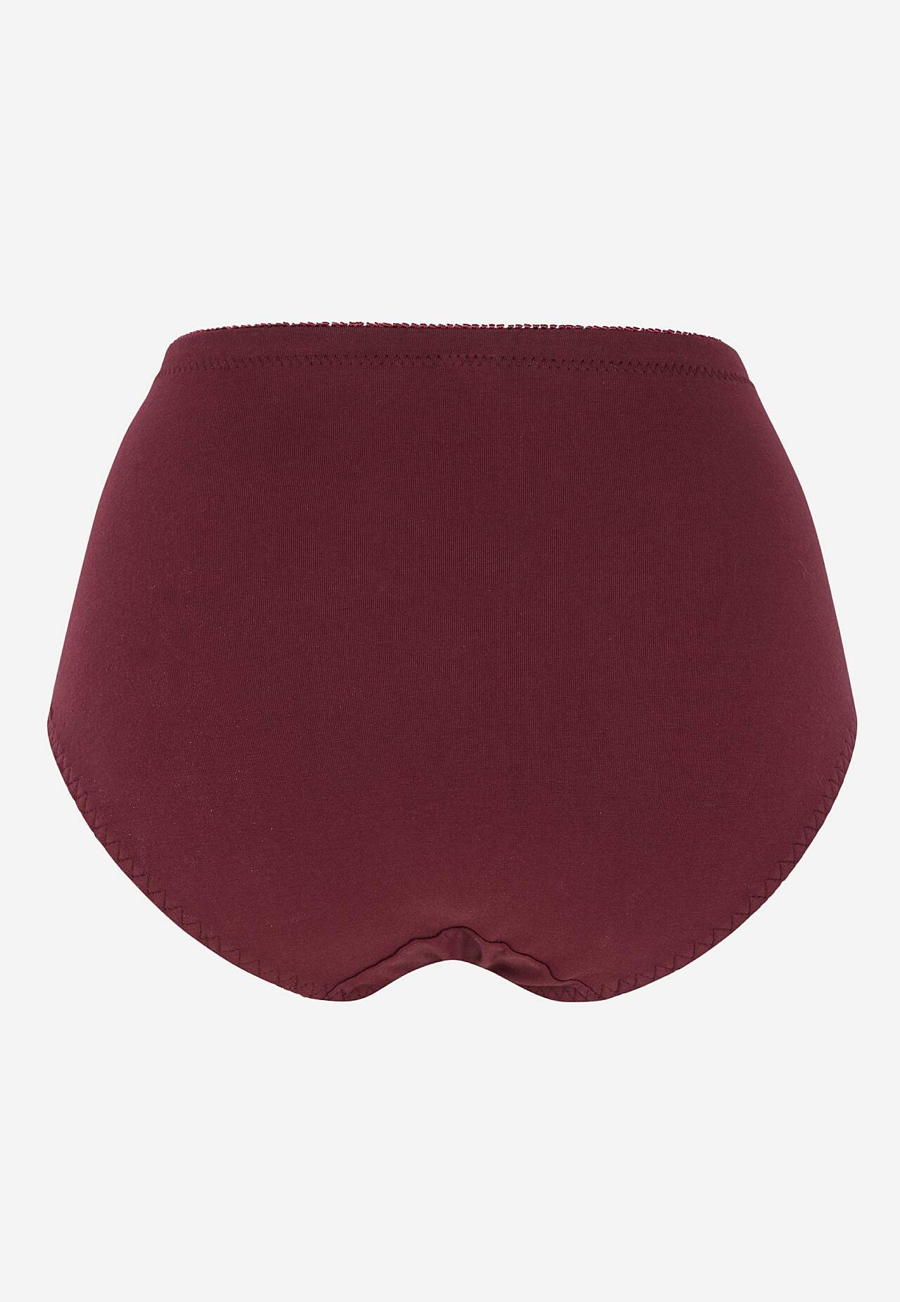 Shaping briefs 4-pack