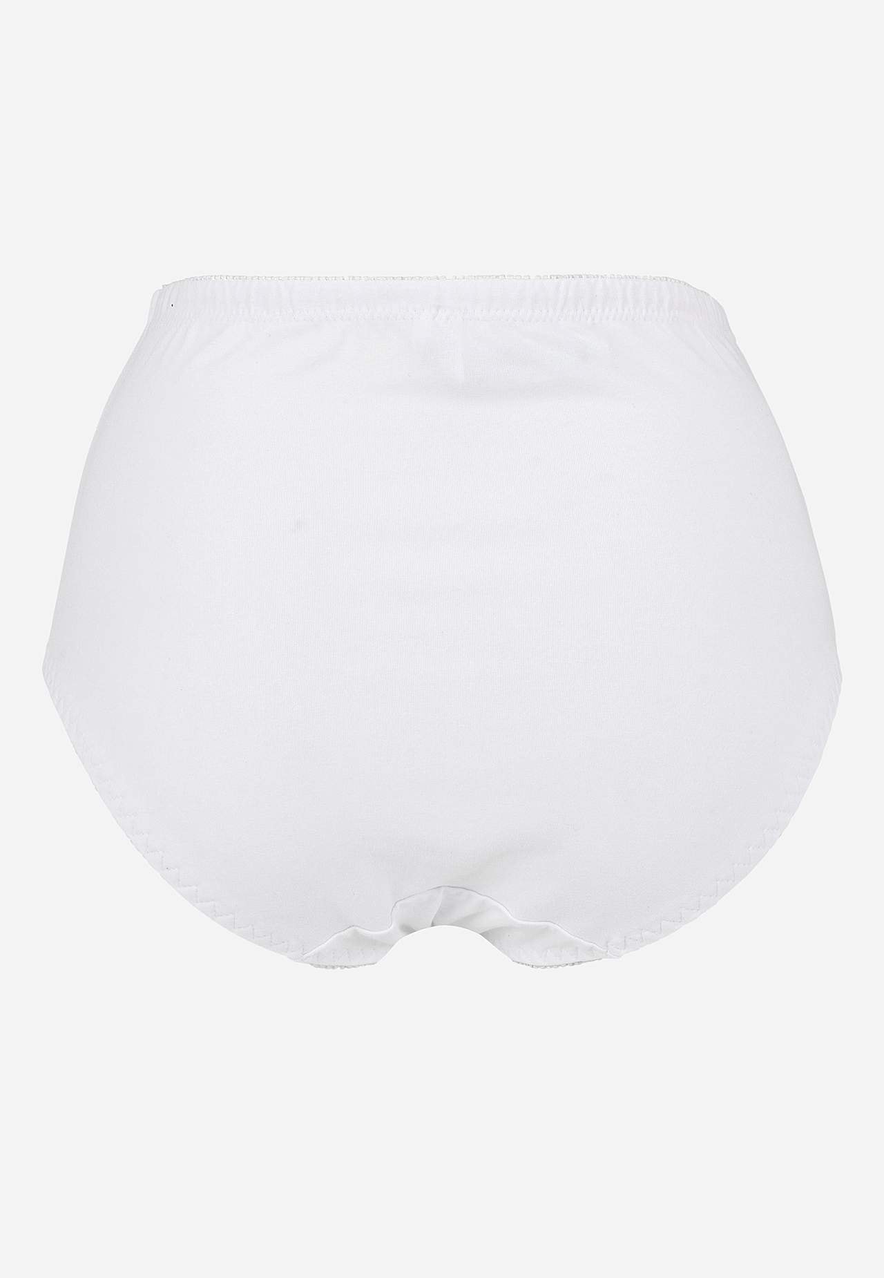 Shaping briefs 4-pack