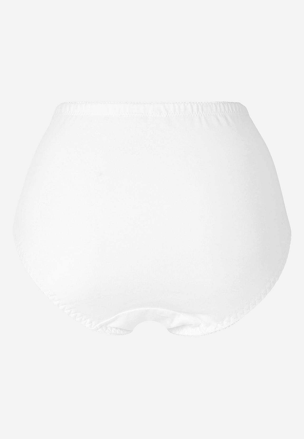 Shaping briefs 4-pack
