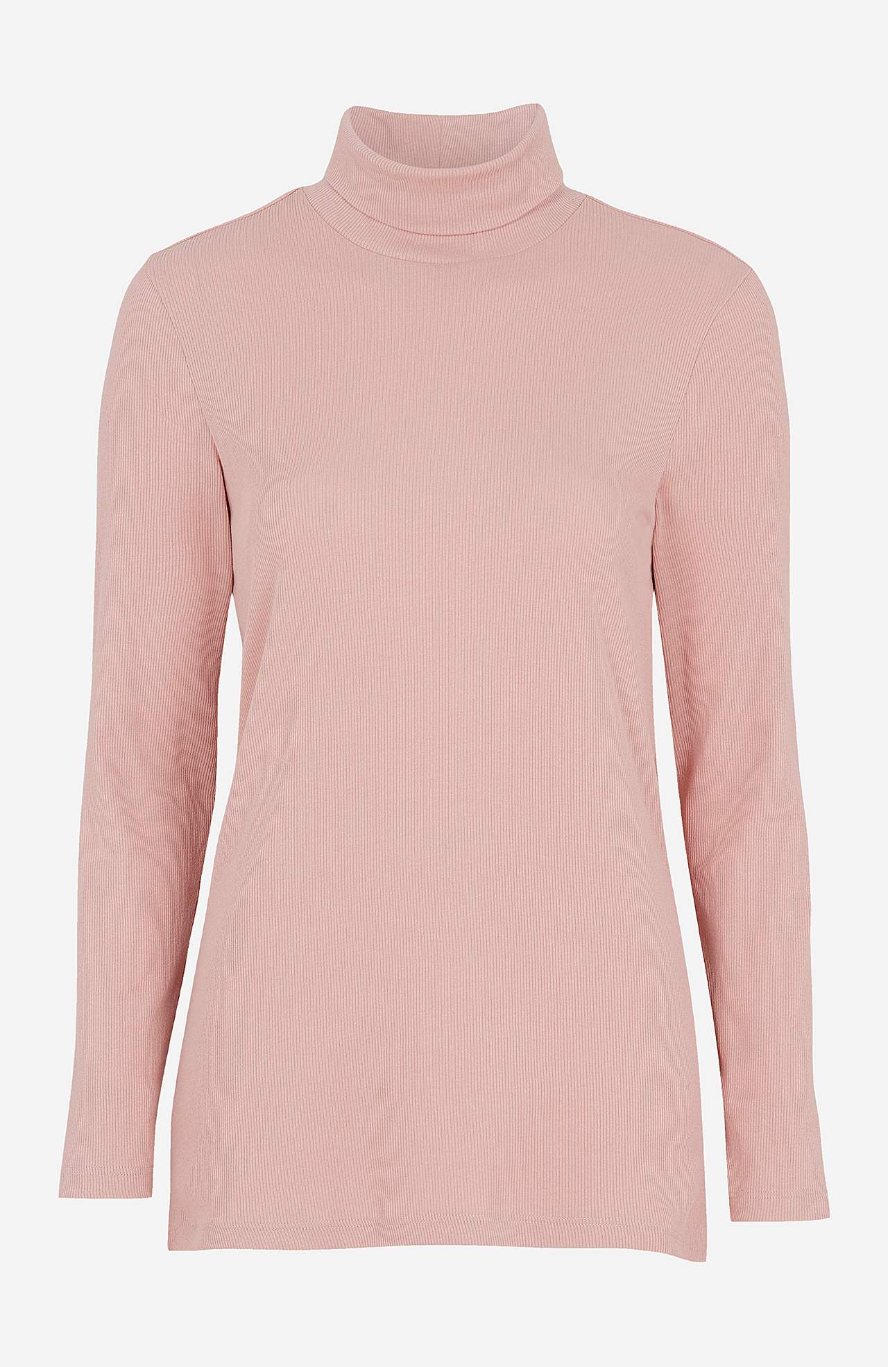 Ribbed roll-neck in organic cotton