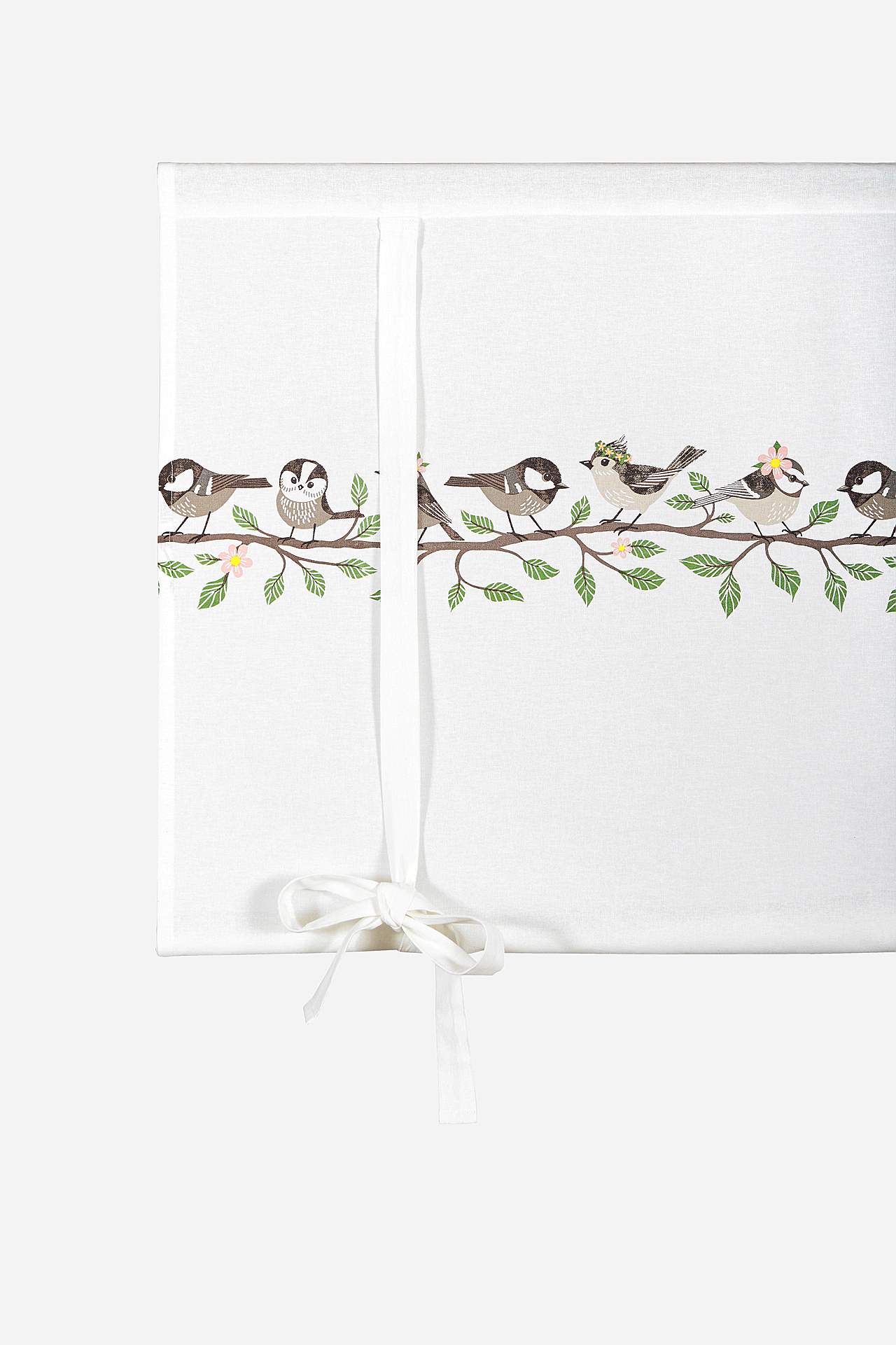 Roman blind Birds