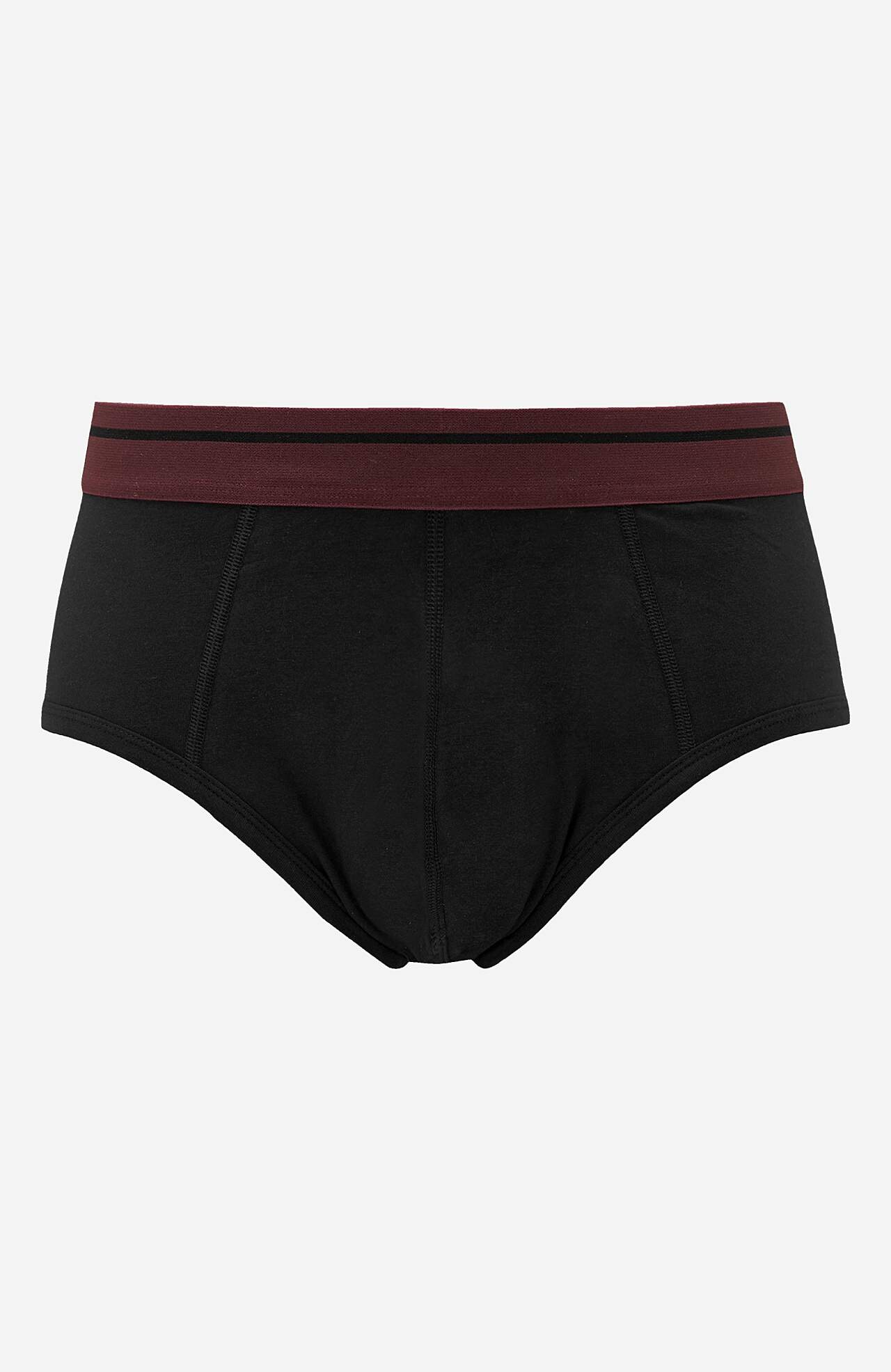 Briefs in soft cotton David 3-pack