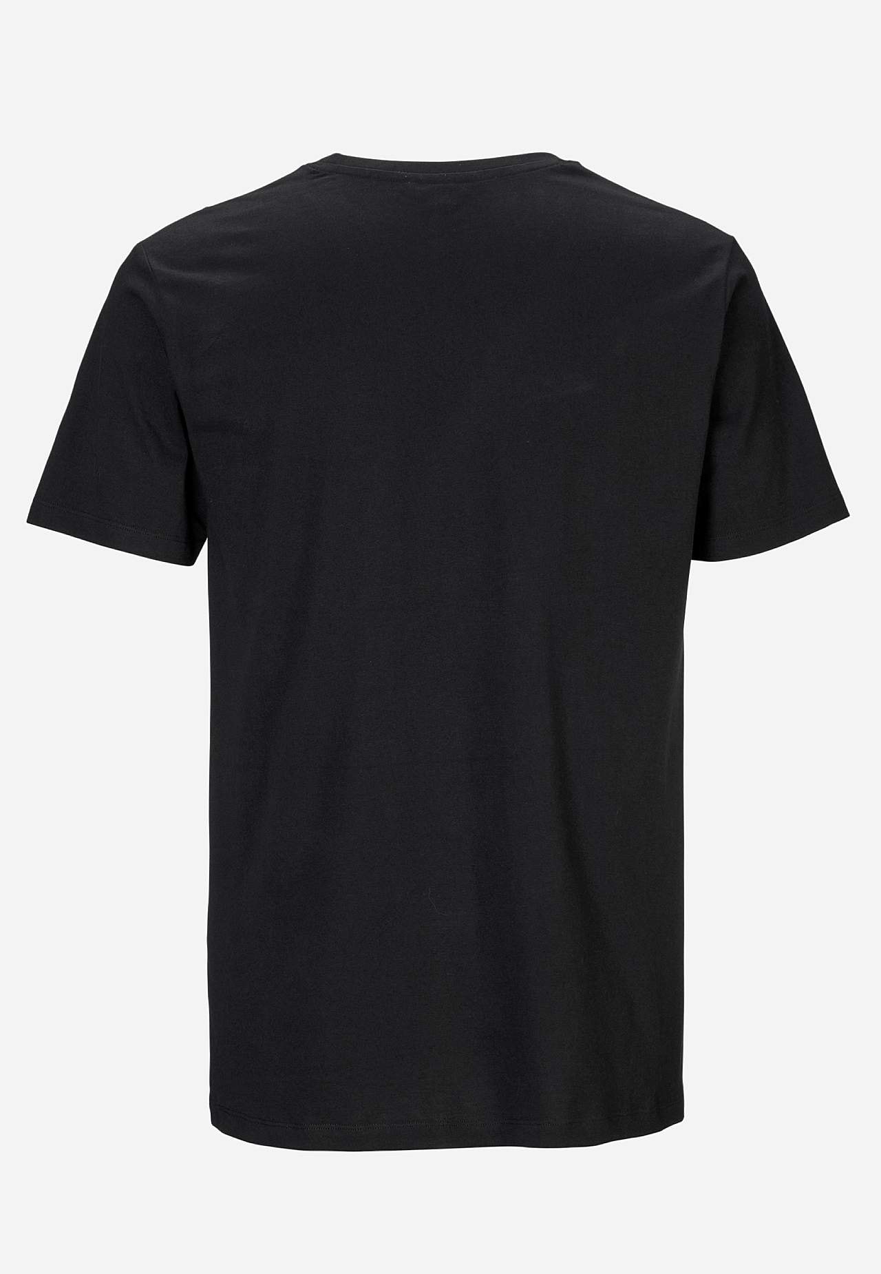 Classic t-shirt 2-pack