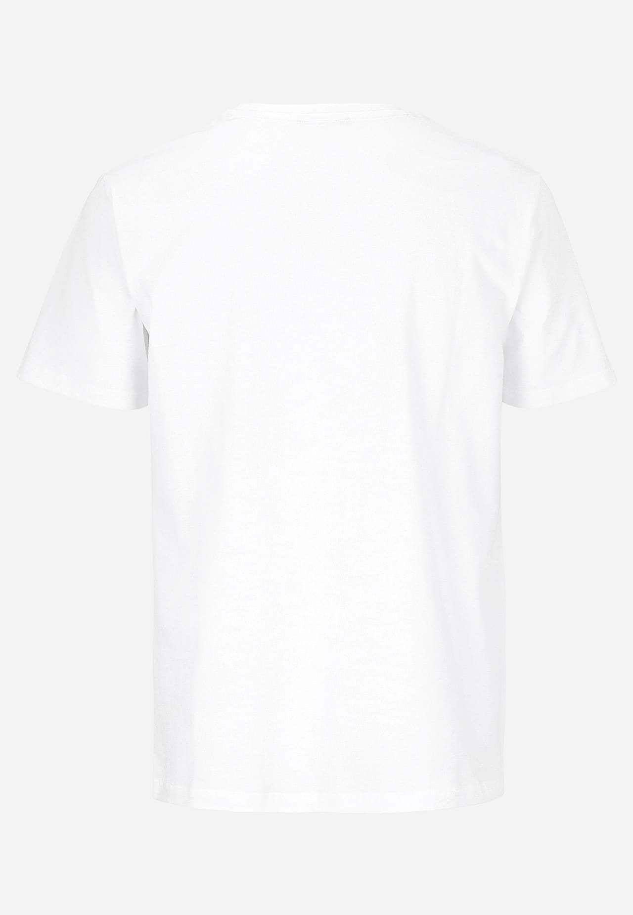 Classic t-shirt 2-pack