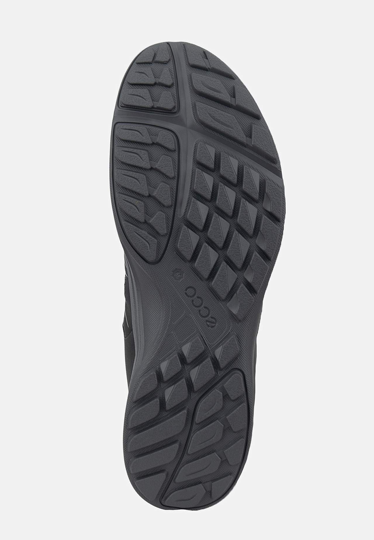 Sneaker Terracruise LT